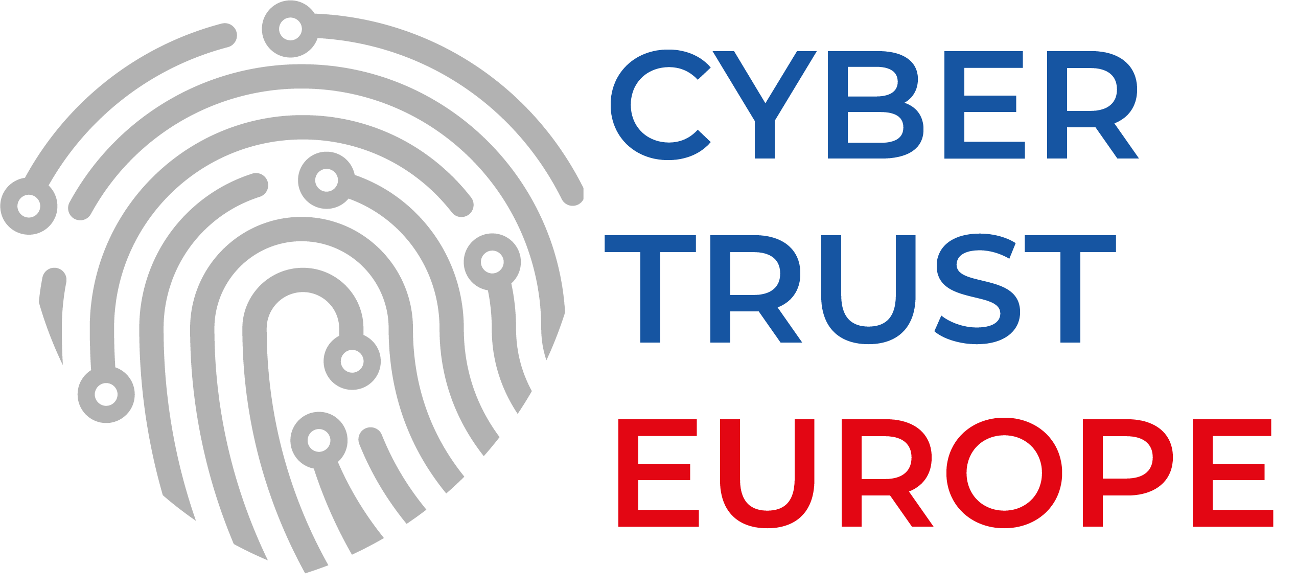 Cyber Trust Austria Silver Label
